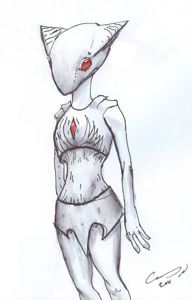 003