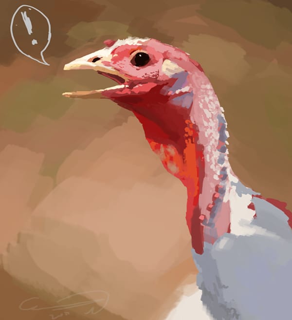 birdstudy