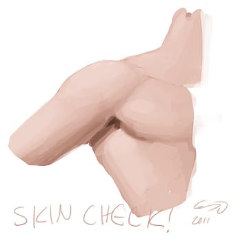 skin