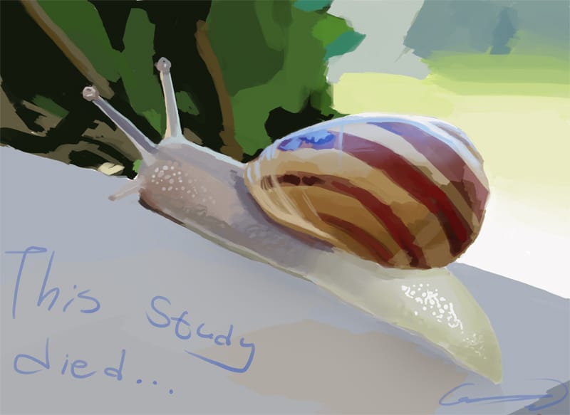 snail
